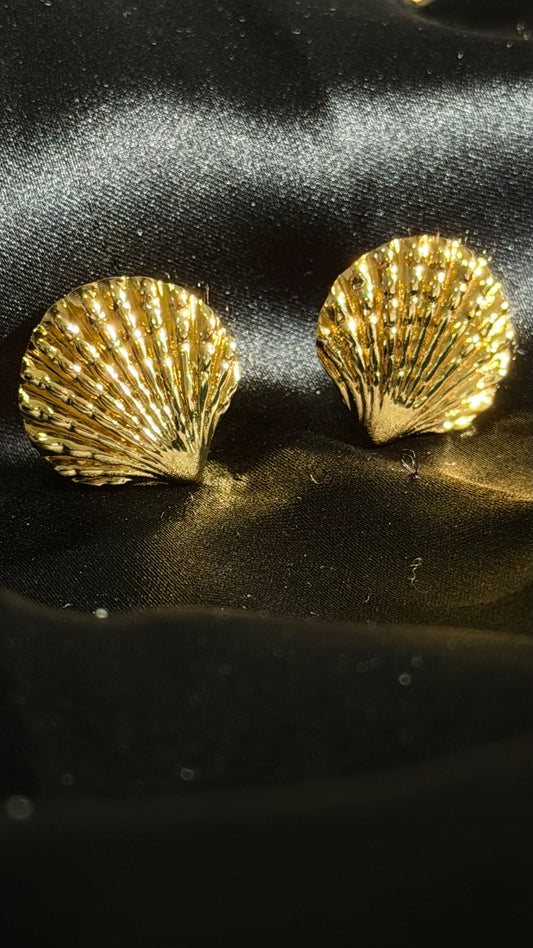 Gold shell Earrings
